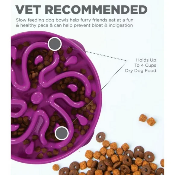 Outward Hound Fun Feeder Slo Bowl, Slow Feeder Dog Bowl - Picture 2 of 5